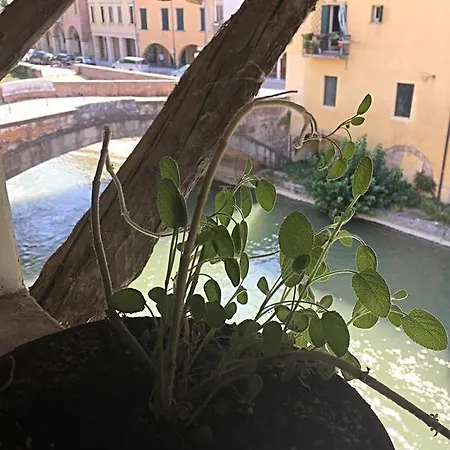 Appartement Mansardina Artista *